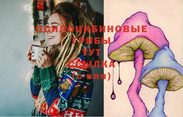 спайс Абдулино