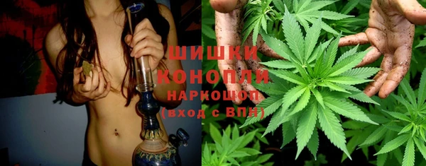 стаф Няндома