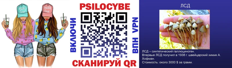 Галлюциногенные грибы Psilocybe  Торжок 