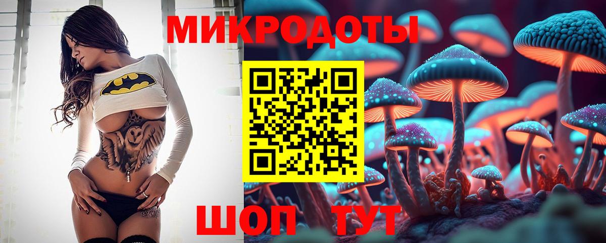 Торжок  Псилоцибиновые грибы прущие грибы  Вход с VPN 