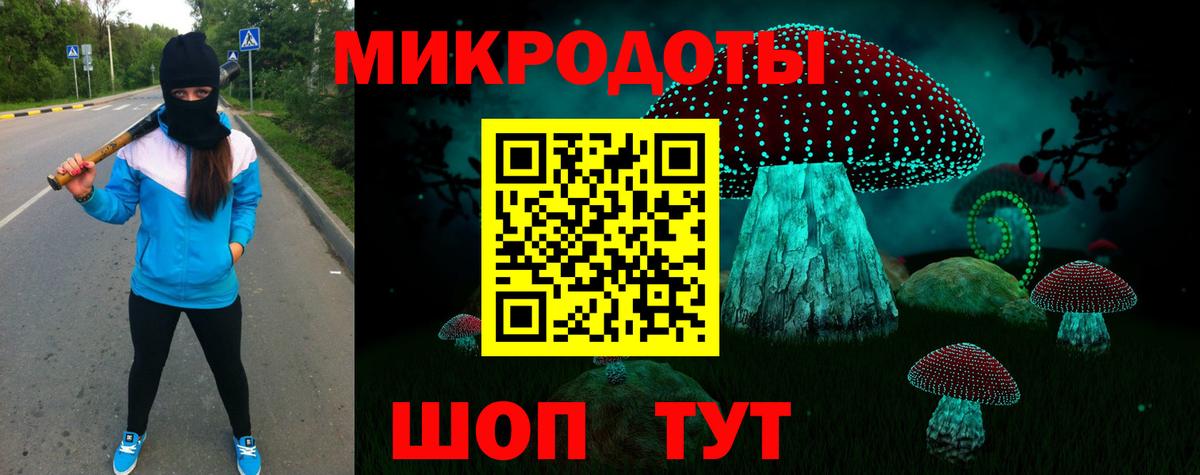 Псилоцибиновые грибы MAGIC MUSHROOMS Торжок
